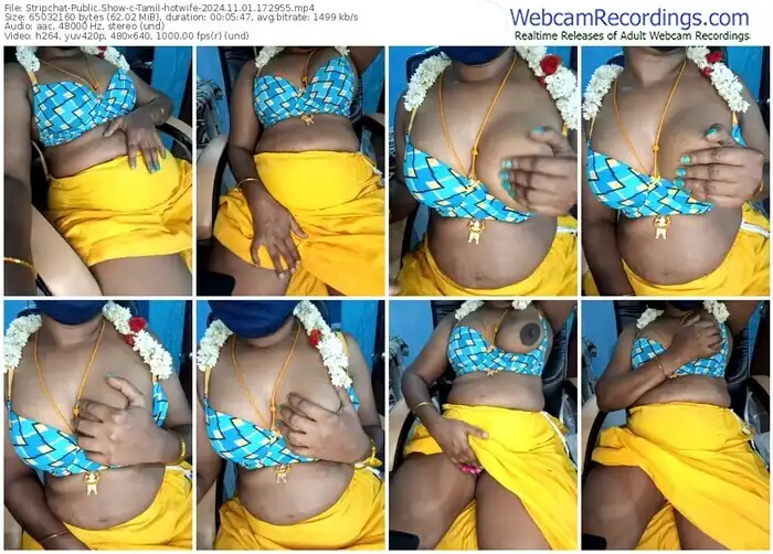 stripchat-tamil-hotwife-11-01-2024-17-29-55