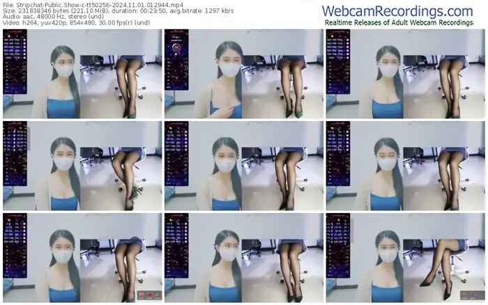 stripchat-tt50256-11-01-2024-01-29-44