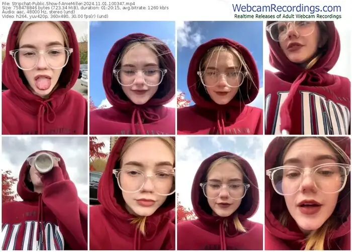 stripchat-aniemiller-11-01-2024-10-03-47