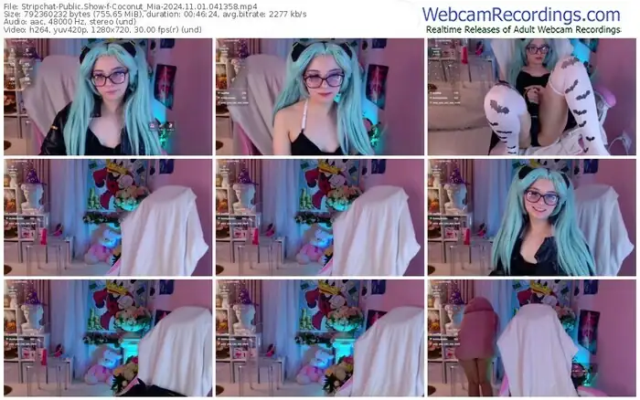 stripchat-coconut_mia-11-01-2024-04-13-58