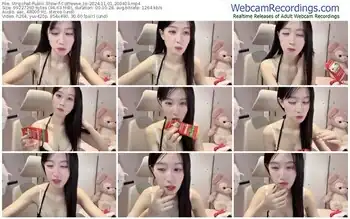 stripchat-cotheese_zo-11-01-2024-20-04-03