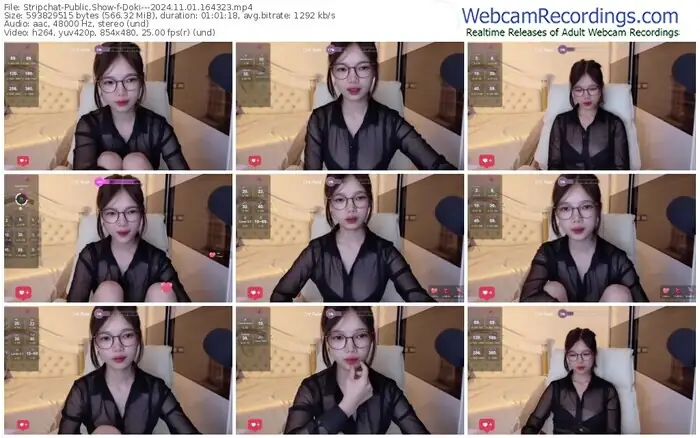 stripchat-doki---11-01-2024-16-43-23