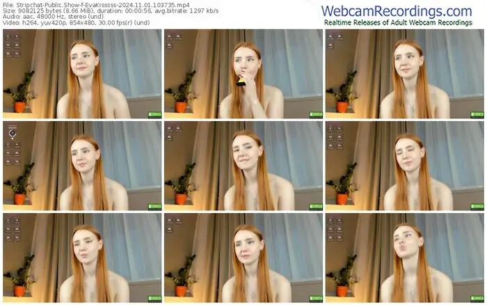 stripchat-evakisssss-11-01-2024-10-37-35