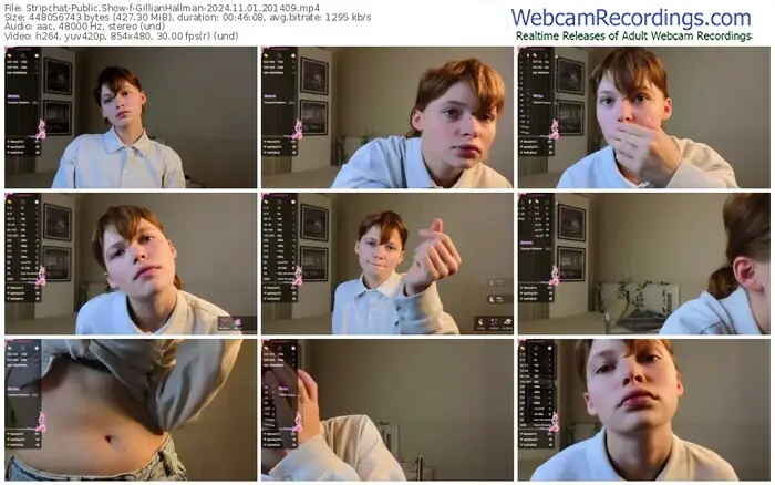 stripchat-gillianhallman-11-01-2024-20-14-09