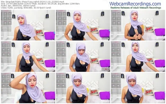 stripchat-lea_nahid-11-01-2024-22-35-02