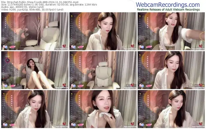 stripchat-ledo-888-11-01-2024-08-43-51