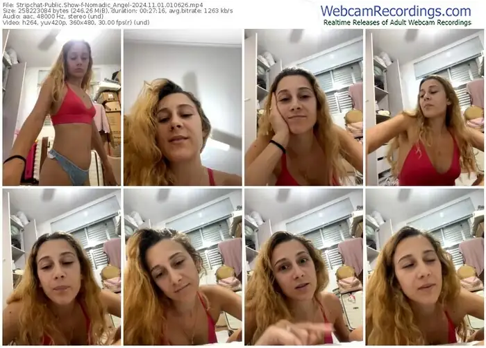 stripchat-nomadic_angel-11-01-2024-01-06-26