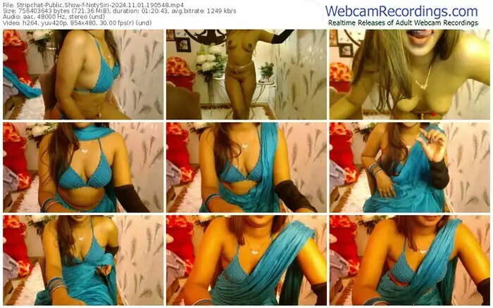 stripchat-notysiri-11-01-2024-19-05-48