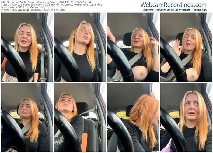 stripchat-obviouslypeachy-11-01-2024-12-08-05