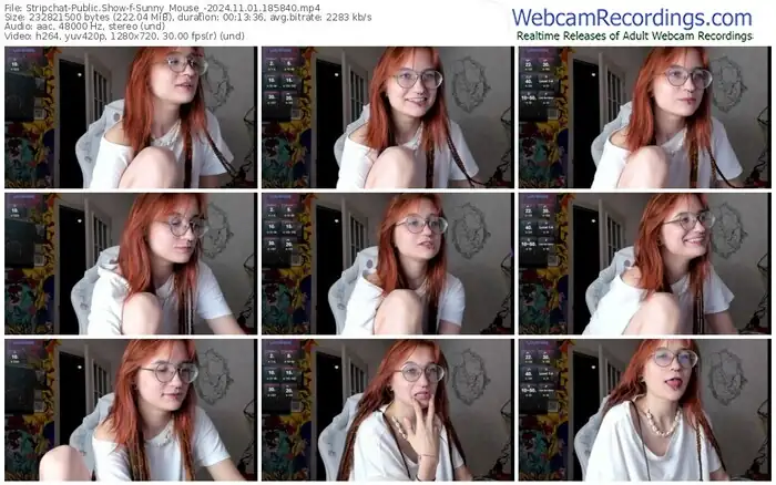 stripchat-sunny_mouse_-11-01-2024-18-58-40