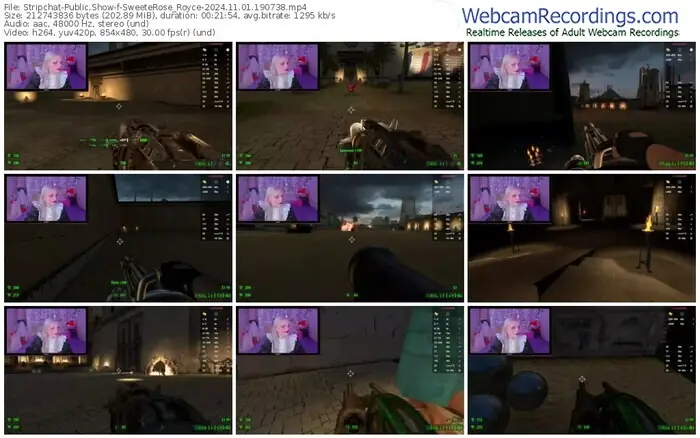 stripchat-sweeterose_royce-11-01-2024-19-07-38
