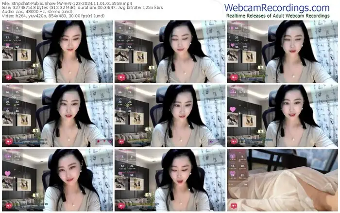 stripchat-w-e-n-123-11-01-2024-01-55-59