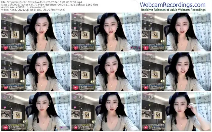 stripchat-w-e-n-123-11-01-2024-03-02-50