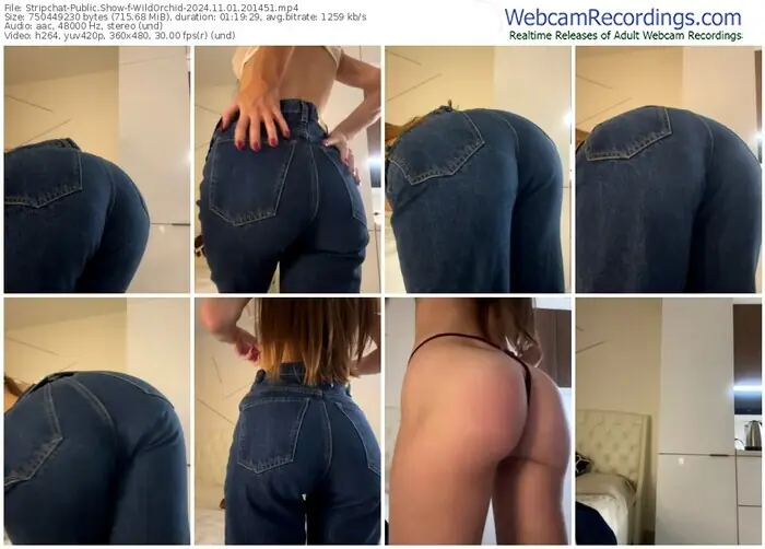 stripchat-wildorchid-11-01-2024-20-14-51