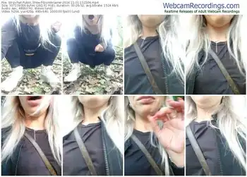 stripchat-biondinaone-11-01-2024-15-23-06