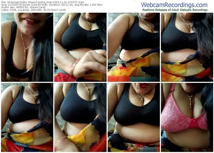 stripchat-sneha_rose-11-01-2024-07-47-57