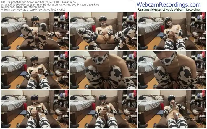 stripchat-nihs1-11-01-2024-14-44-43