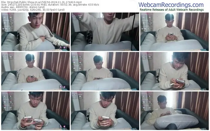 stripchat-w156156-11-01-2024-17-44-10