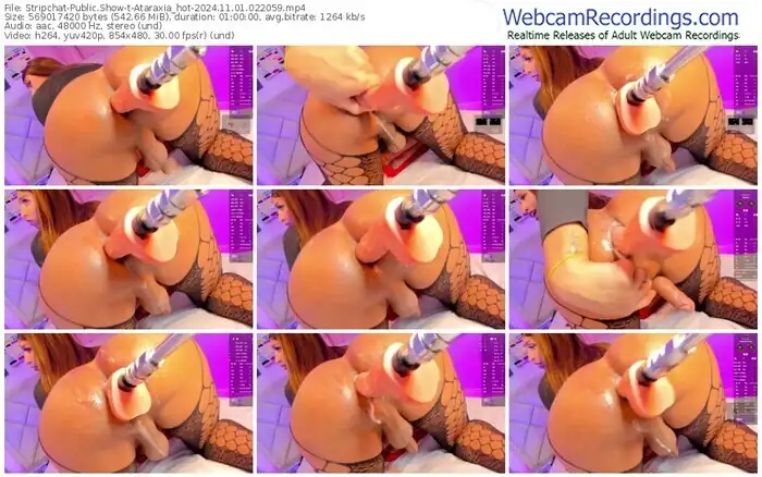 stripchat-ataraxia_hot-11-01-2024-02-20-59