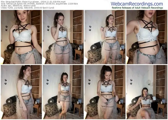 stripchat-lycalosex_-11-01-2024-03-16-54