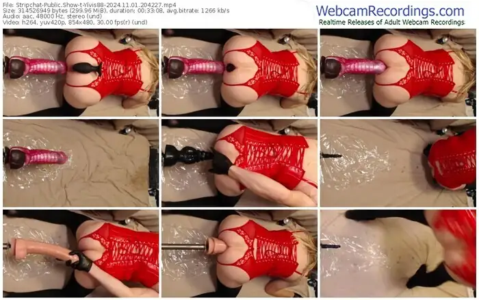 stripchat-ylvis88-11-01-2024-20-42-27