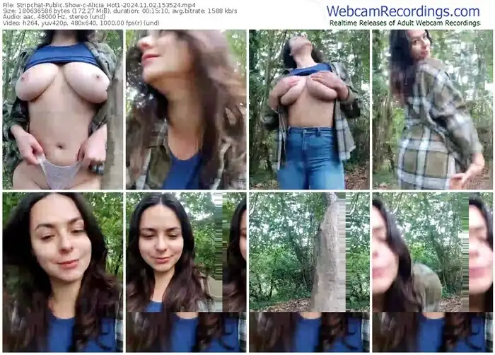 stripchat-alicia_hot1-11-02-2024-15-35-24