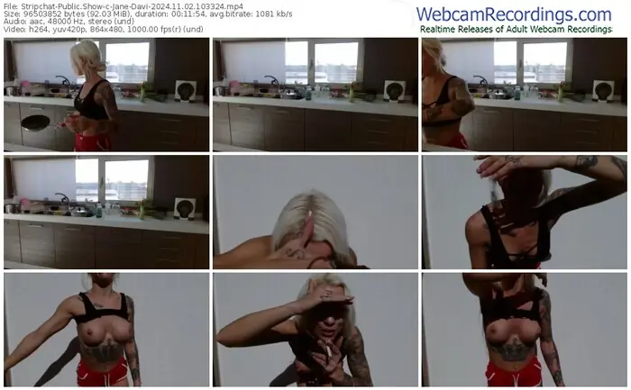 stripchat-jane-davi-11-02-2024-10-33-24
