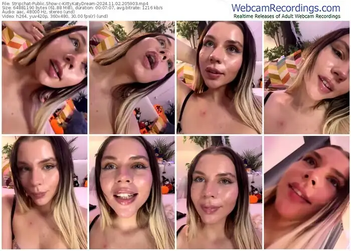 stripchat-kittykatydream-11-02-2024-20-59-03