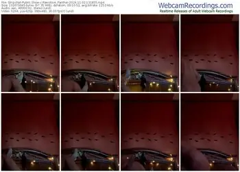 stripchat-pawsitive_panther-11-02-2024-13-18-55