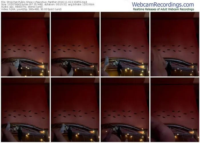 stripchat-pawsitive_panther-11-02-2024-13-18-55