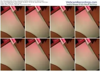 stripchat-pawsitive_panther-11-02-2024-13-50-27