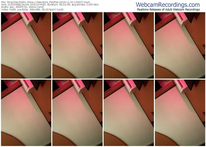 stripchat-pawsitive_panther-11-02-2024-13-50-27
