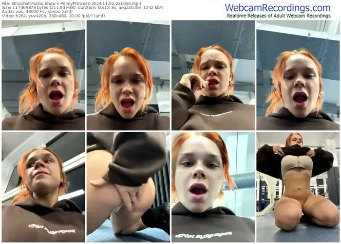 stripchat-pennyprincess-11-02-2024-23-16-56