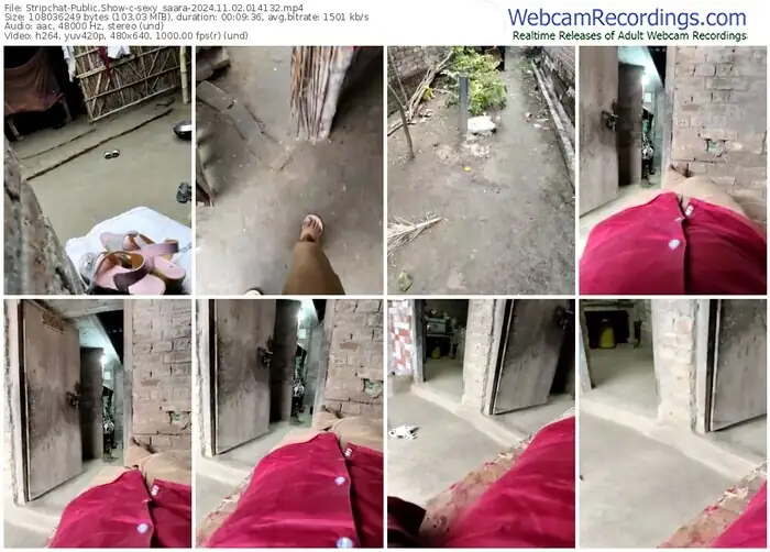 stripchat-sexy_saara-11-02-2024-01-41-32
