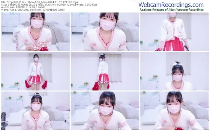 stripchat-86_haru-11-02-2024-12-11-08