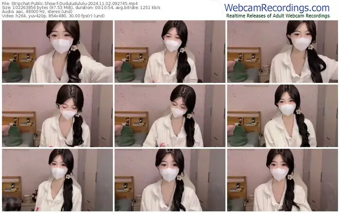 stripchat-duduludululu-11-02-2024-09-27-45