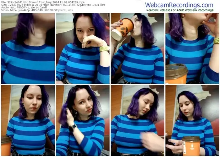 stripchat-frost_foxy-11-02-2024-05-42-29