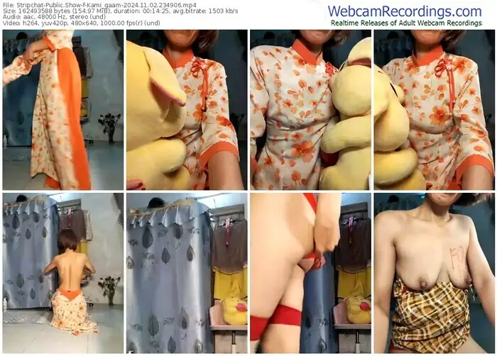 stripchat-kami_gaam-11-02-2024-23-49-06