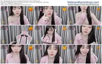 stripchat-minhha-18-11-02-2024-17-08-20