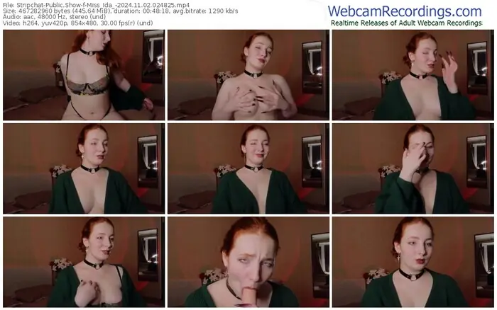 stripchat-miss_ida_-11-02-2024-02-48-25