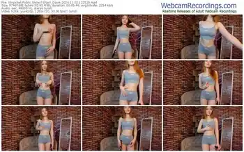 stripchat-sharil_davis-11-02-2024-12-25-20