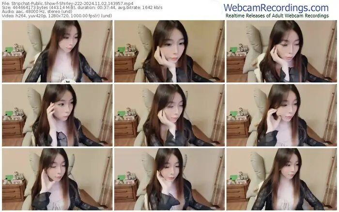 stripchat-shirley-222-11-02-2024-14-39-57