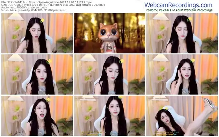 stripchat-speakingairline-11-02-2024-11-17-19