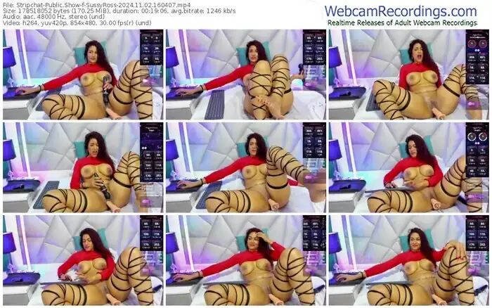 stripchat-sussyross-11-02-2024-16-04-07