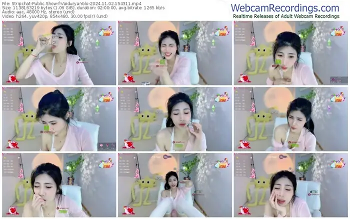 stripchat-vaidurya-yolo-11-02-2024-15-43-11