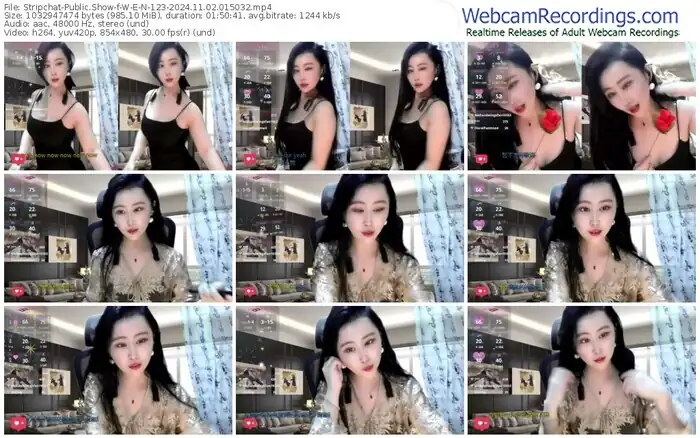 stripchat-w-e-n-123-11-02-2024-01-50-32