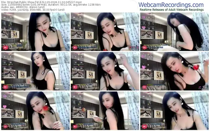 stripchat-w-e-n-123-11-02-2024-04-52-27