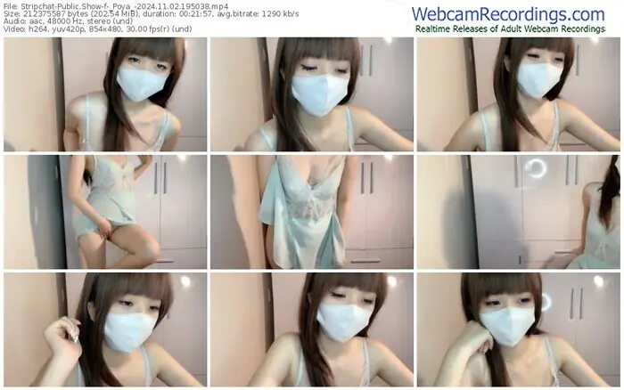 stripchat-_poya_-11-02-2024-19-50-38