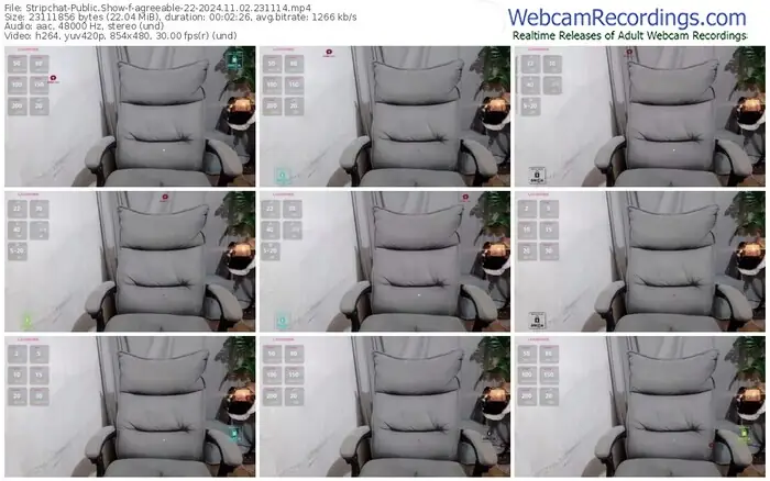 stripchat-agreeable-22-11-02-2024-23-11-14