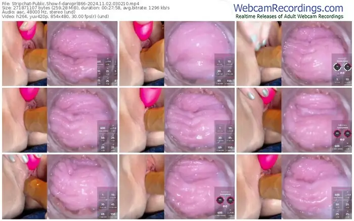 stripchat-danigirl866-11-02-2024-03-02-10